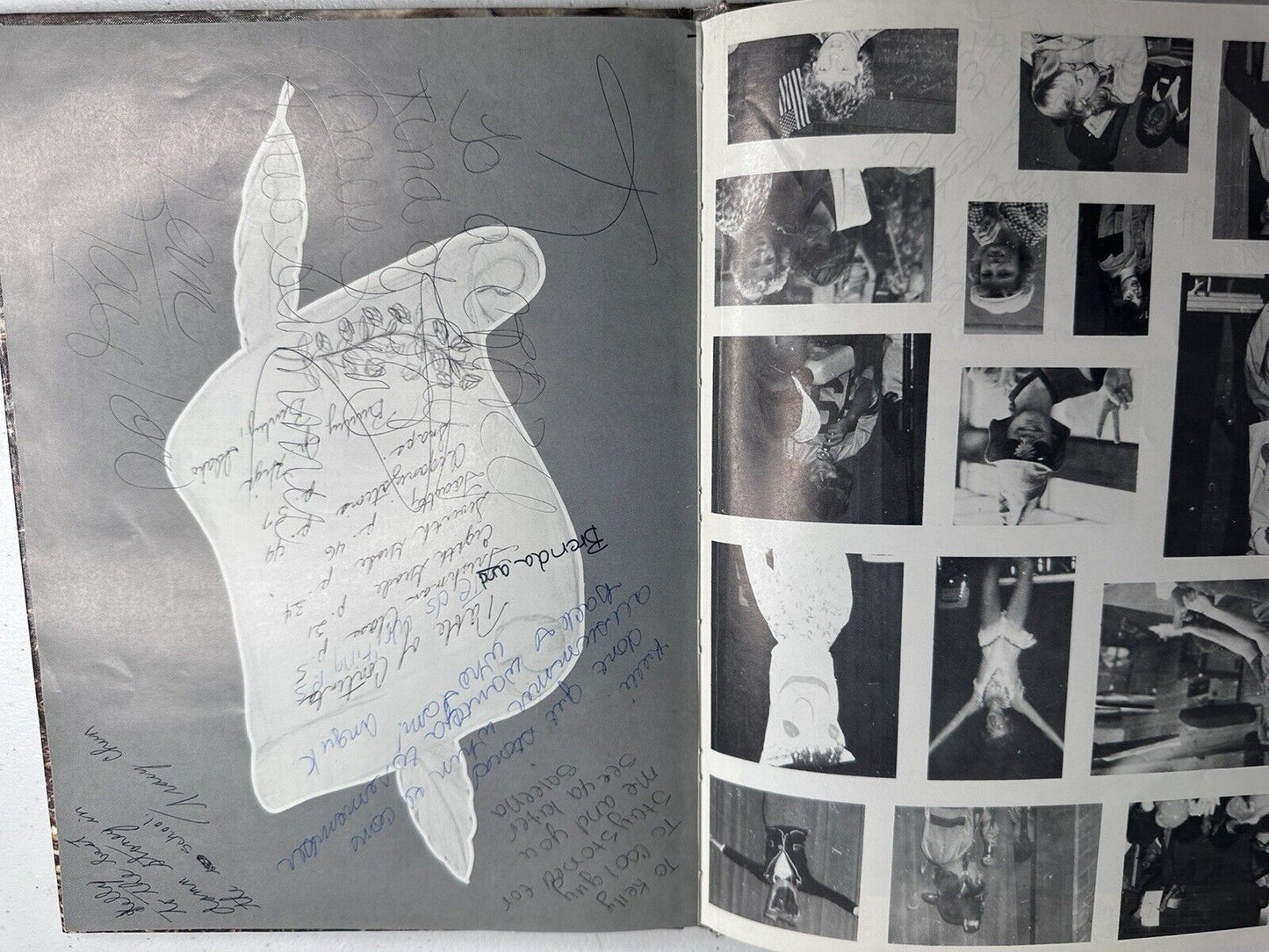 Vintage 1980 Bobkitten High School Yearbook - Autographed Rock & Roll Keepsake - TreasuTiques