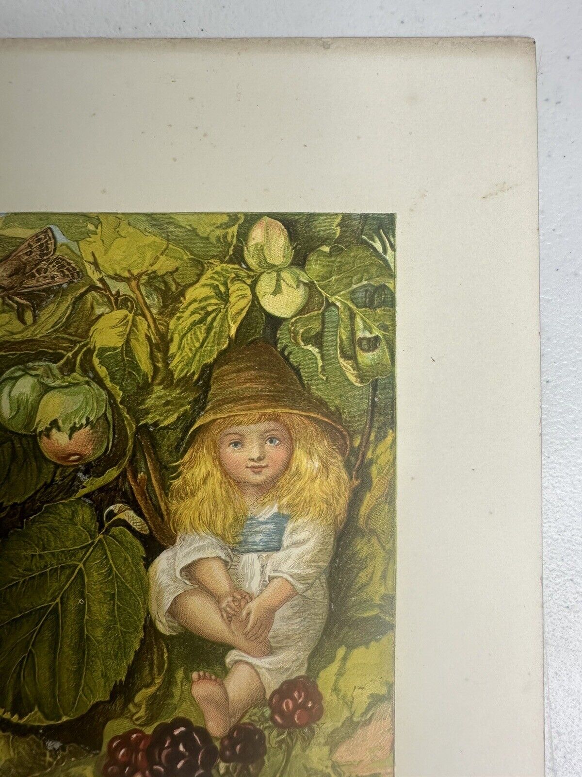 Authentic 1890s 'The Nut Bush Flower' Child Lithograph Art Collectible - Vintage Wall Decor - TreasuTiques