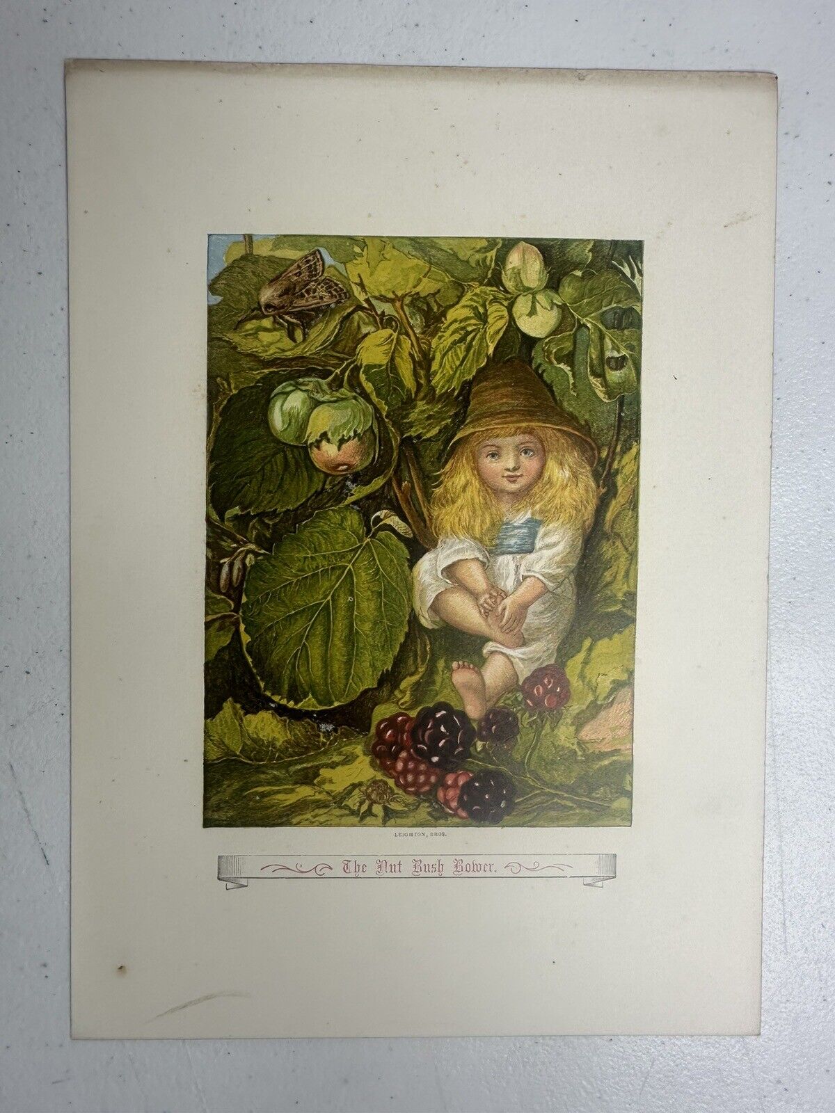 Authentic 1890s 'The Nut Bush Flower' Child Lithograph Art Collectible - Vintage Wall Decor - TreasuTiques
