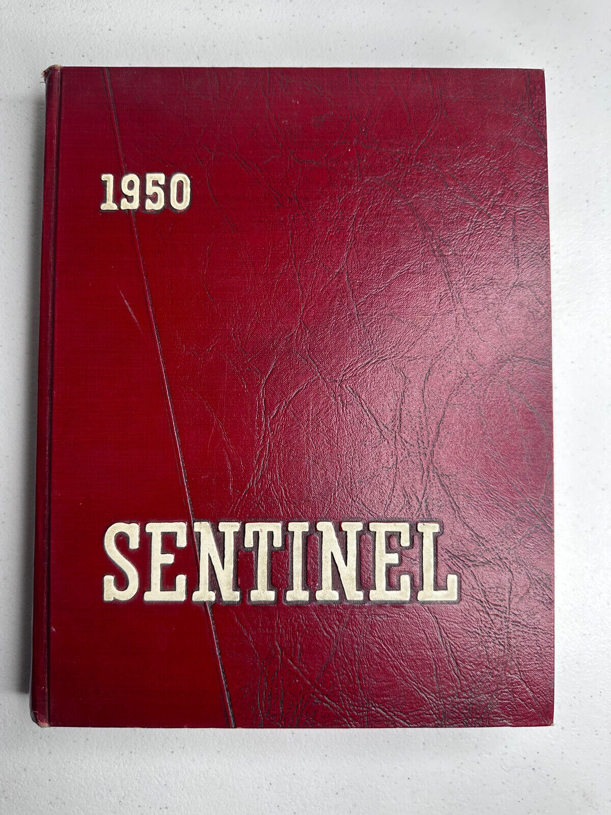 Montana State University - 1950 The Sentinel Yearbook | College Memories, Vintage Photos, Bobcats History | Alumni Memorabilia, University Archives - TreasuTiques