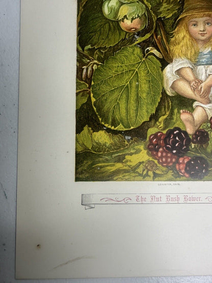 Authentic 1890s 'The Nut Bush Flower' Child Lithograph Art Collectible - Vintage Wall Decor - TreasuTiques